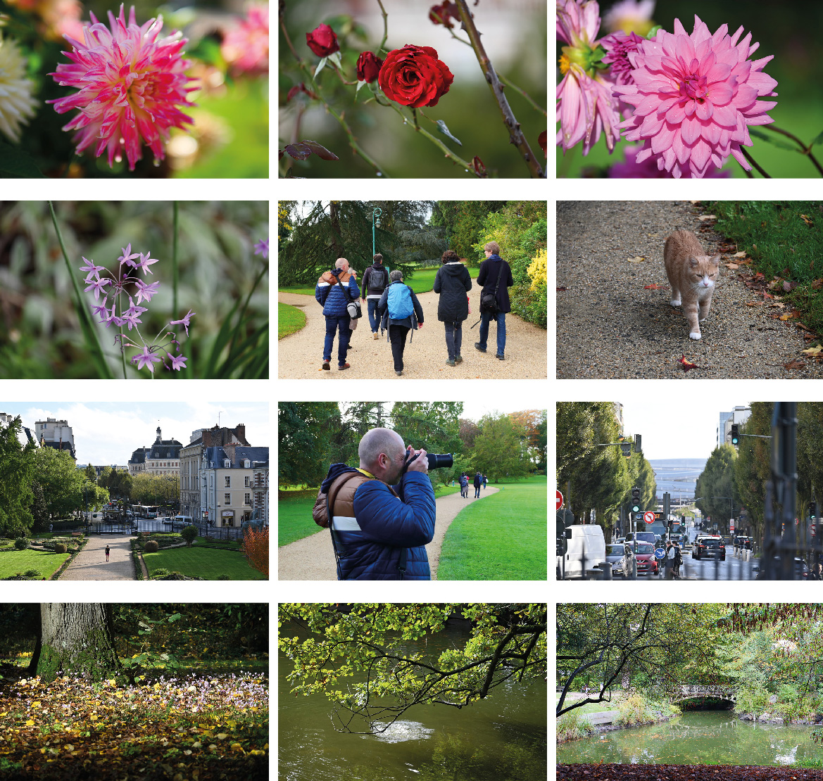 Retour Montage Photographies