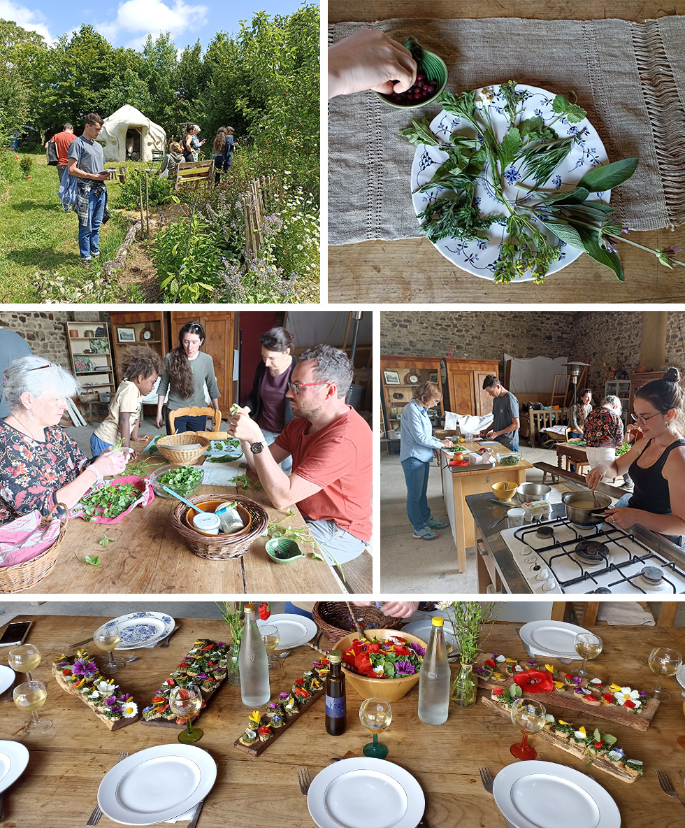 Retour Cuisine sauvage 2024