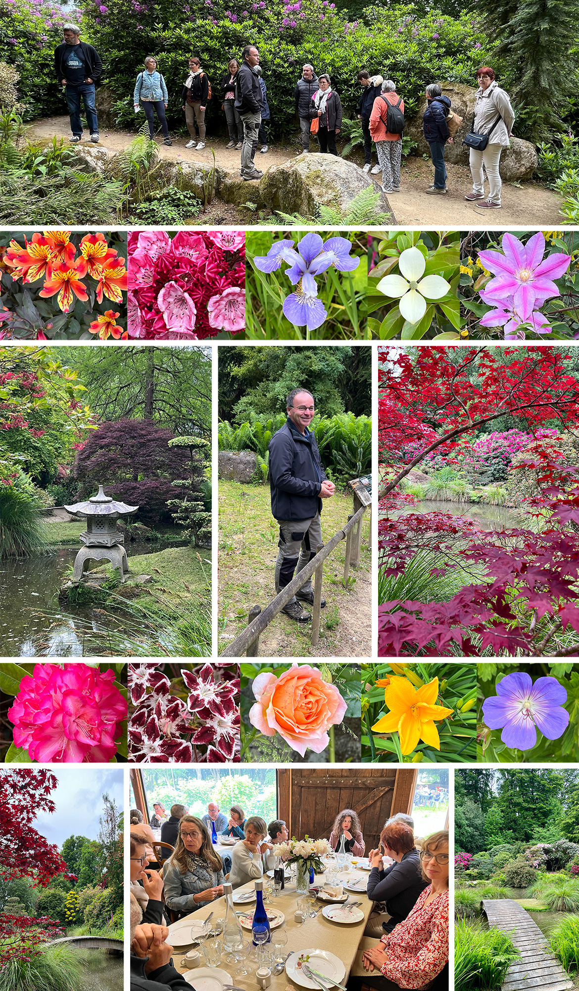 Montage photos Parc botanique 2025