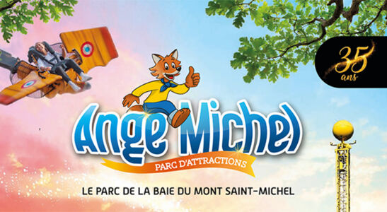 Vignette Ange Michel