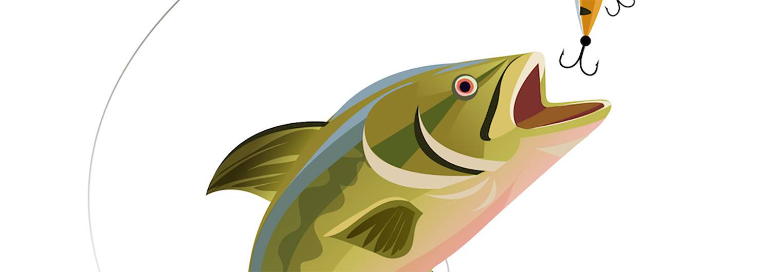 visuel concours pêche 2023