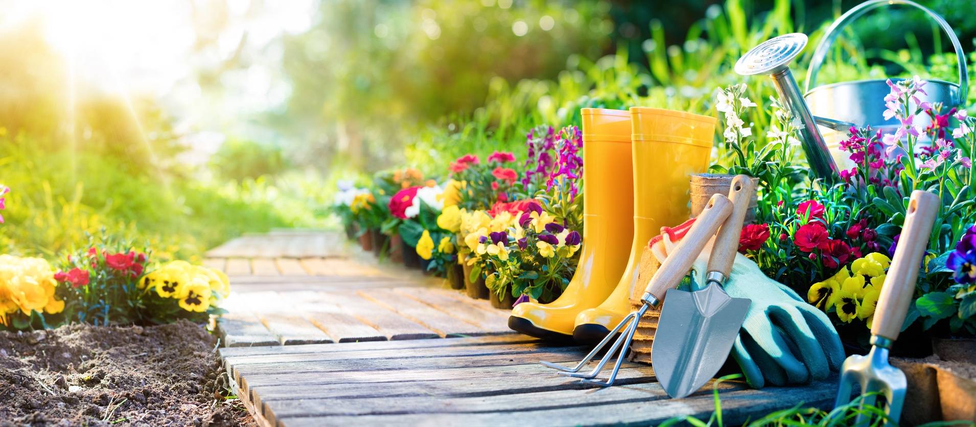 Visuel Jardinage biologique