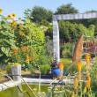Jardin de Rocambole