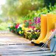 Visuel Jardinage biologique